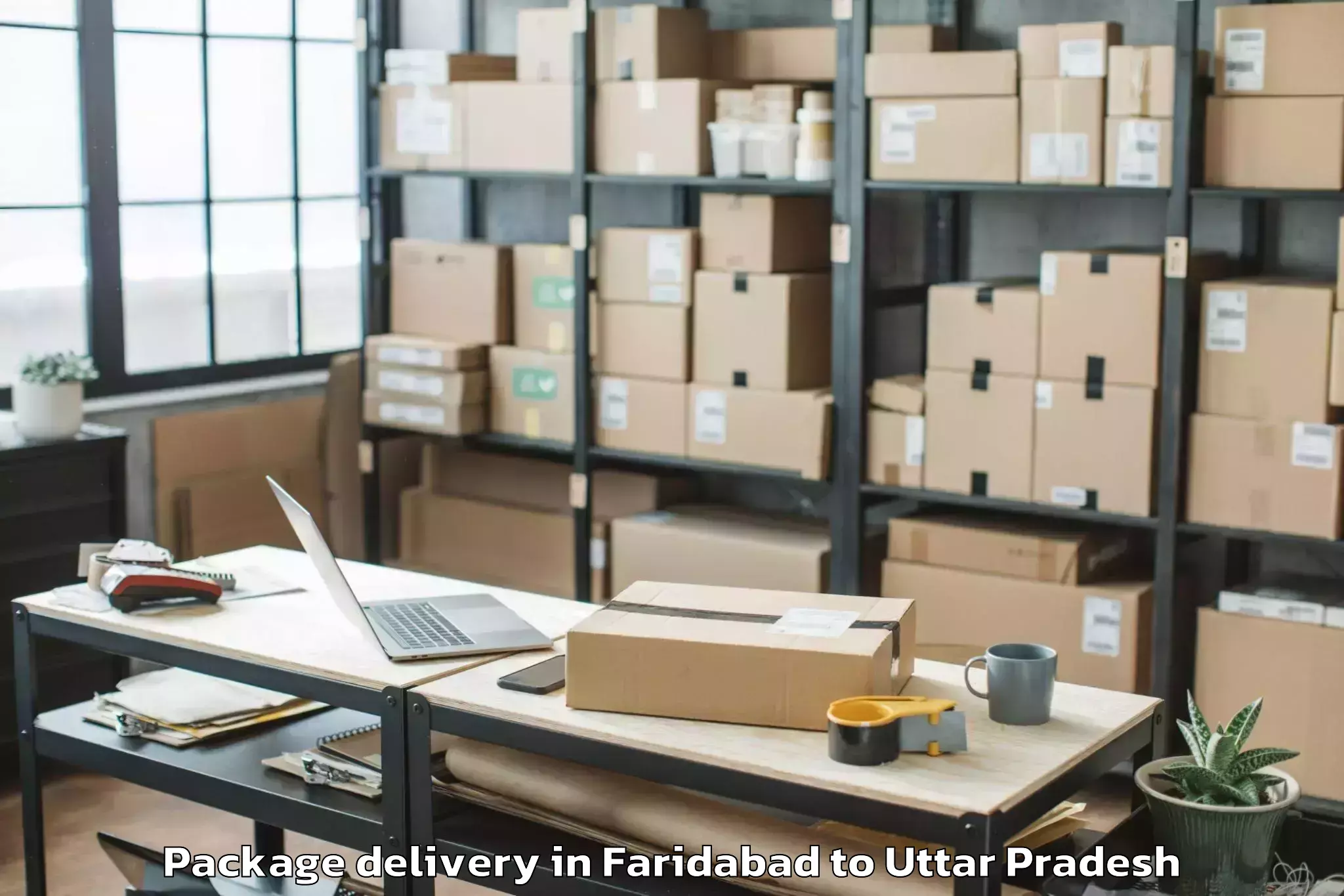 Easy Faridabad to Chandra Shekhar Azad Universit Package Delivery Booking